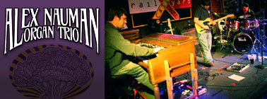 Bilings-Bands-alex-nauman-trio
