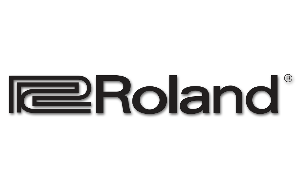 Roland Amplifiers & Effects